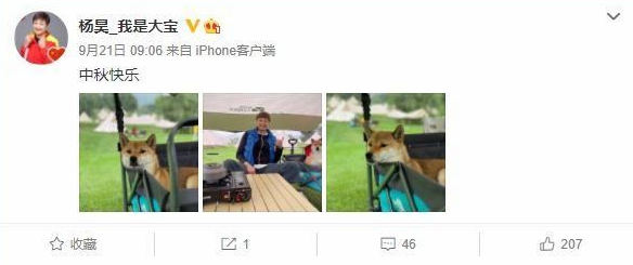女排奥运冠军杨昊,中秋携宠物狗野餐,商人丈夫已近10年未出现 女排奥运冠军杨昊,中秋携宠物狗野餐,商人丈夫已近10年未出现
