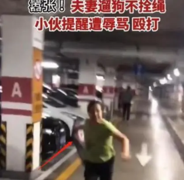大妈遛狗不栓绳,男子提醒却被打得落荒而逃,警察来了拒绝和解 大妈遛狗不栓绳,男子提醒却被打得落荒而逃,警察来了拒绝和解