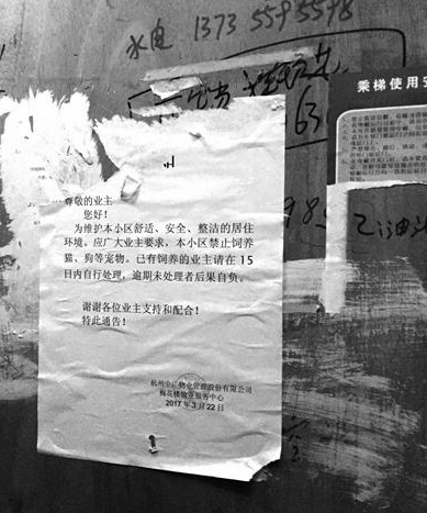 萧山能不能不办狗证 | 禁止饲养猫狗等宠物 杭州萧山梅花楼小区物业一纸通知引发网友争议 萧山能不能不办狗证 | 禁止饲养猫狗等宠物 杭州萧山梅花楼小区物业一纸通知引发网友争议