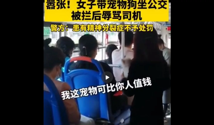 “我这狗可比你人值钱，老子五千买的”女子携狗乘公交还辱骂司机