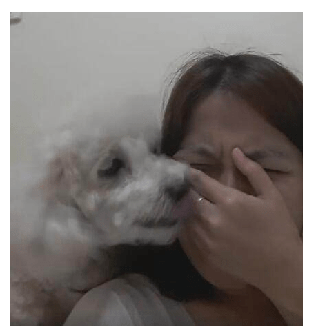 主人装作在狗狗面前伤心哭泣，狗狗做出的反应却让主人真暖哭