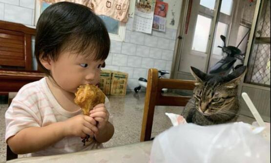 孩子抱着大鸡腿吃,猫咪坐在一旁静静地看着:说好的好朋友呢? 孩子抱着大鸡腿吃,猫咪坐在一旁静静地看着:说好的好朋友呢?