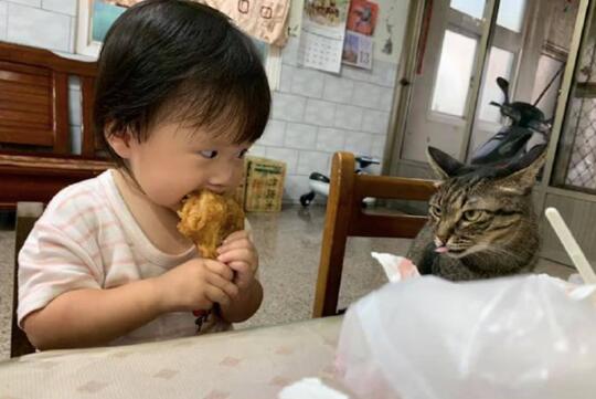 孩子抱着大鸡腿吃,猫咪坐在一旁静静地看着:说好的好朋友呢? 孩子抱着大鸡腿吃,猫咪坐在一旁静静地看着:说好的好朋友呢?