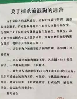 怎样划分流浪狗的范围 | 政府主导捕杀流浪狗，你赞成吗？| 全民麦克风