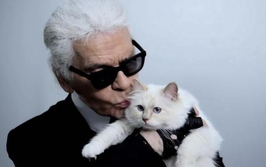 老佛爷Karl Lagerfeld爱猫引领宠物代言人热潮
