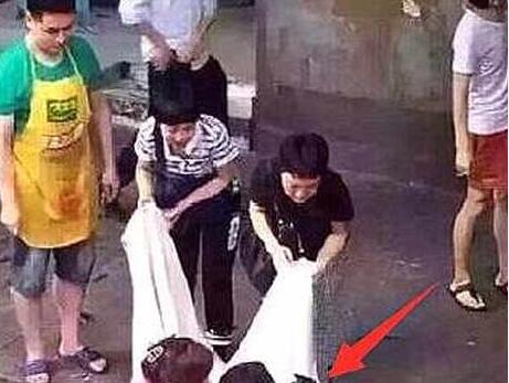 主人将二哈关阳台，接到邻居电话：你家的二哈跳楼了