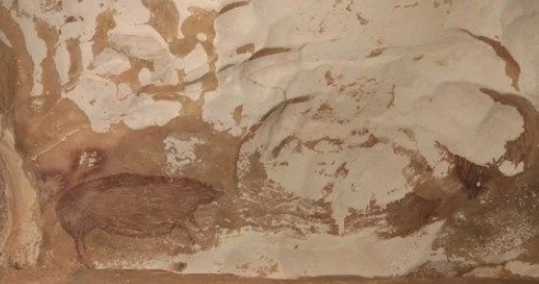 世界上最古老的“猪”：考古学家发现了45500年前的洞穴壁画