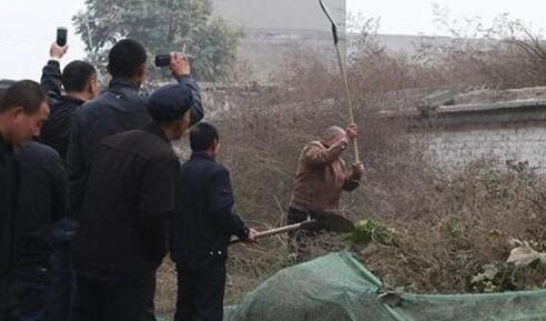 流浪藏獒误闯入闹市,路人吓得纷纷逃跑,下一幕却令人唏嘘不已 流浪藏獒误闯入闹市,路人吓得纷纷逃跑,下一幕却令人唏嘘不已