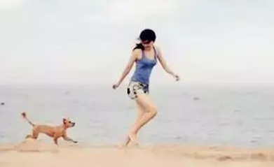 流浪狗到新家的感觉 | 流浪狗走进新家的所有第一次,那种不知所措我们真的不懂! 流浪狗到新家的感觉 | 流浪狗走进新家的所有第一次,那种不知所措我们真的不懂!