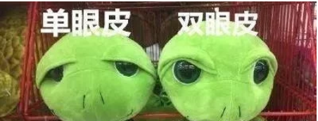 火到国外,主人给猫咪割双眼皮的事情,网友大呼心疼