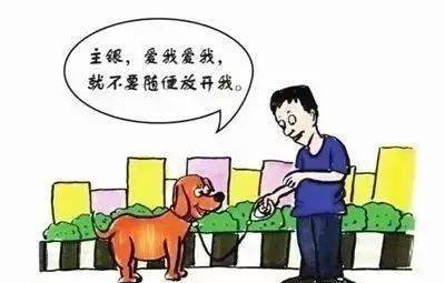 “我家狗不咬人”?业主遛狗不栓绳,后果很严重…… “我家狗不咬人”?业主遛狗不栓绳,后果很严重……