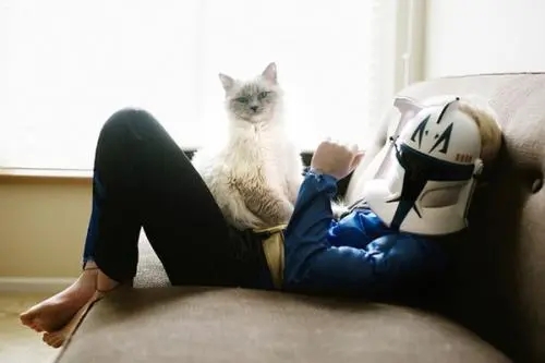 当着猫咪的面教育女儿，差点威严扫地