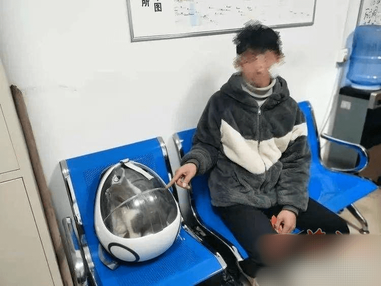 西安一男子偷走猫想卖掉时发现失主报警，竟假意发帖寻主，还称自己是好心收养？！