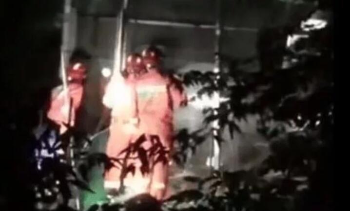 浙江一阿婆被自家狗咬死,村民狗被拴在鸡圈里,经常挨饿