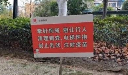 女子跳楼控诉狗不栓绳 家人反对打狗 女子跳楼控诉狗不栓绳 家人反对打狗