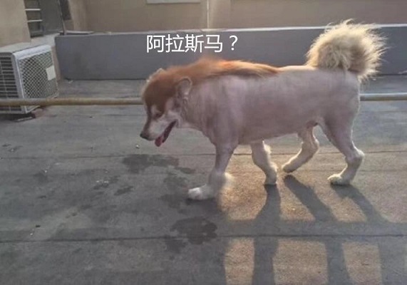 6790b7cbf0ab4a4da3a0a6f507851c69.jpeg