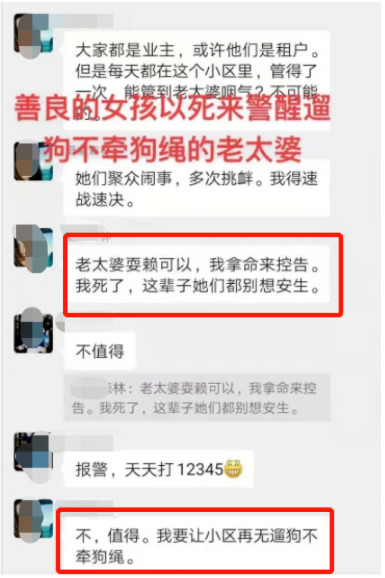 武汉女子被“狗”逼到跳楼后续，狗主人身份被扒：果然，真相没这么简单