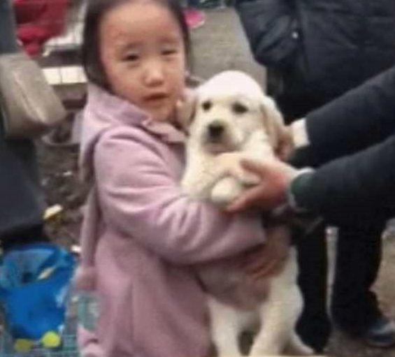 母亲要卖狗,女孩紧紧抱住小狗不肯放手,还把钱扔了:给钱也不卖 母亲要卖狗,女孩紧紧抱住小狗不肯放手,还把钱扔了:给钱也不卖