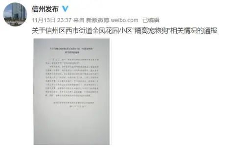 “隔离宠物狗在家被扑杀”事件背后，我们最该关注什么？