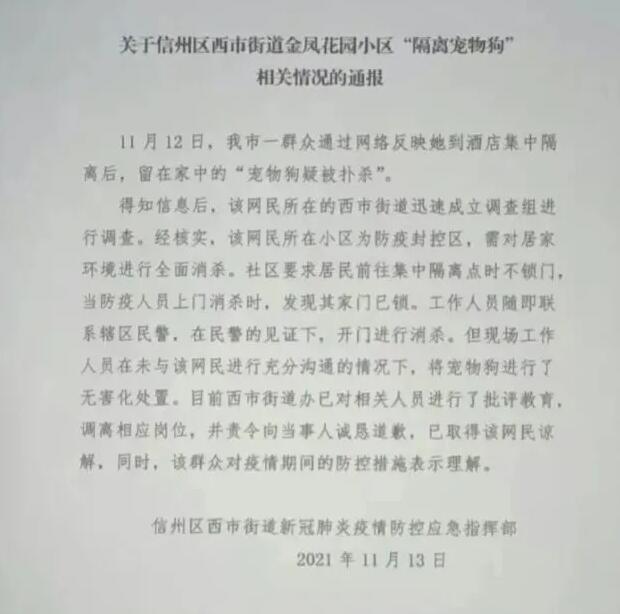 “隔离宠物狗被扑杀”官方深夜通告 什么才是隔离期间宠物处置的正确方式?