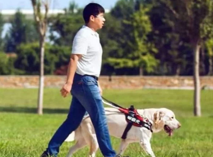 珠海某酒店拒绝导盲犬进入！经理霸气：这是珠海，是狗就不能进！
