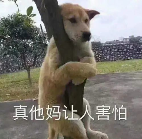 网友给狗子修毛,不小心手抖修成存钱罐,金毛气哭:“报警了啊!” 网友给狗子修毛,不小心手抖修成存钱罐,金毛气哭:“报警了啊!”