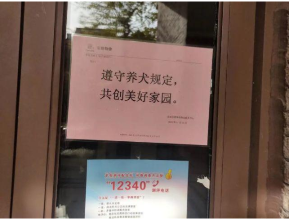 武汉女子被“狗”逼到跳楼后续，狗主人身份被扒：果然，真相没这么简单