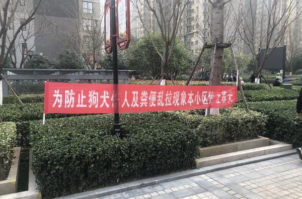 郑州一社区全面禁止养狗：30号之前不把狗狗送走，就会有人上门处理