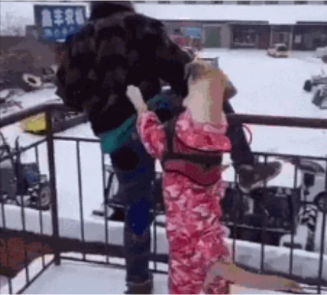 女主人为情轻生跳楼,狗狗咬住主人衣服,长达2小时不松口 女主人为情轻生跳楼,狗狗咬住主人衣服,长达2小时不松口