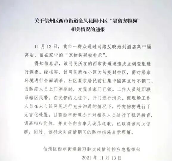 “主人隔离宠物狗在家被扑杀”引关注，当地深夜通报