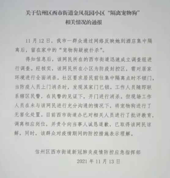 隔离宠物狗疑被扑杀 江西上饶通报:工作人员已被调岗