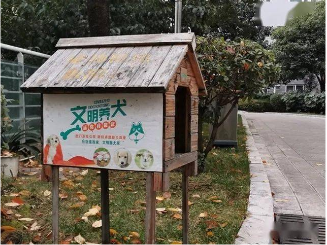 创文在行动 | 龙泉花园：呼吁住户文明养狗 共同打造和谐社区