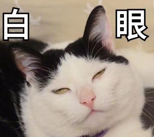 猫咪被公开处刑,看到公示后发飙,喵:贴这么低给谁看呢?