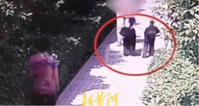 “狗仗人势？”中纪委评安阳狗咬人事件：不能止于道歉！