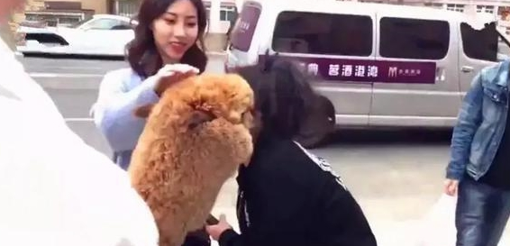 女子牵“神兽”逛街引起围观,羊驼还亲了路人,网友:它喜欢美女 女子牵“神兽”逛街引起围观,羊驼还亲了路人,网友:它喜欢美女
