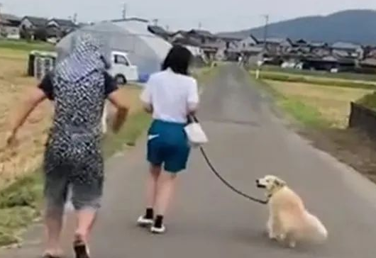 狗狗只让奶奶遛,小哥只好穿上奶奶的衣服,而狗子居然... 狗狗只让奶奶遛,小哥只好穿上奶奶的衣服,而狗子居然...