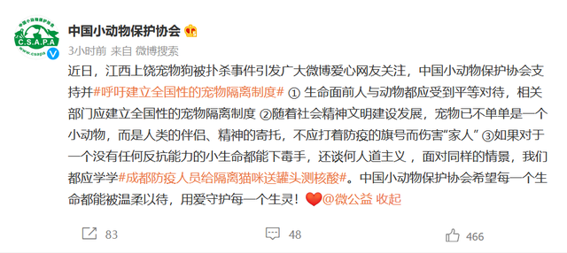 “隔离宠物狗在家被扑杀”事件背后,我们最该关注什么?