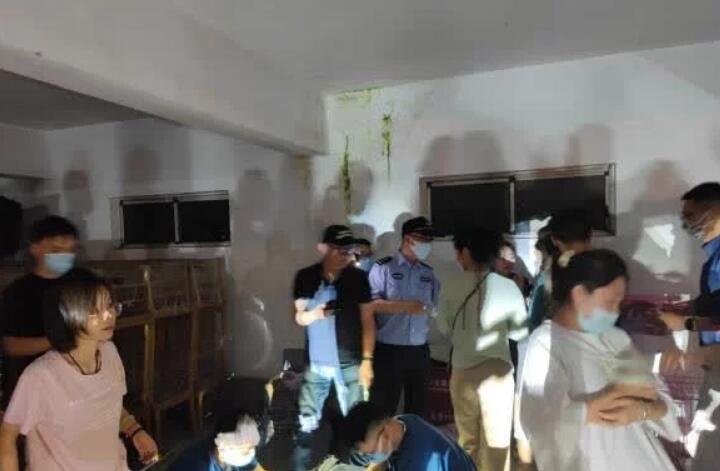 70只奶猫奶狗疑似被装快递盒遗弃，上海警民联手救援