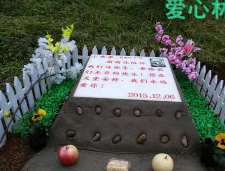 宠物天堂墓地昌平 | 宠物墓地故事:老人为狗不离婚,狗一死马上去民政局 宠物天堂墓地昌平 | 宠物墓地故事:老人为狗不离婚,狗一死马上去民政局