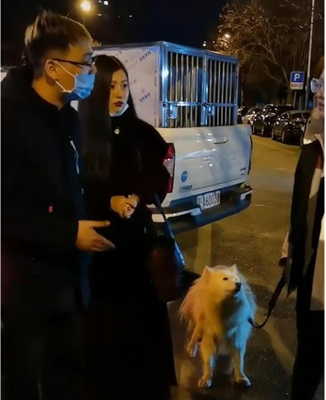女子让爱犬“搭顺风车”被活活闷死：司机只愿赔1.5万！