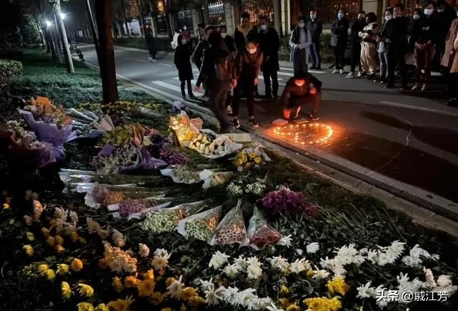 武汉一女子疑似被养狗人逼得跳楼自杀，原因实在太令人悲痛了