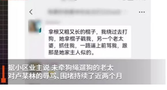 武汉女子被“狗”逼到跳楼后续，狗主人身份被扒：果然，真相没这么简单