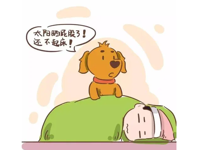 猫咪无辜脸 | 铲屎的起床后发现地上惨不忍睹,家里的喵星人们集体摆出无辜脸 猫咪无辜脸 | 铲屎的起床后发现地上惨不忍睹,家里的喵星人们集体摆出无辜脸