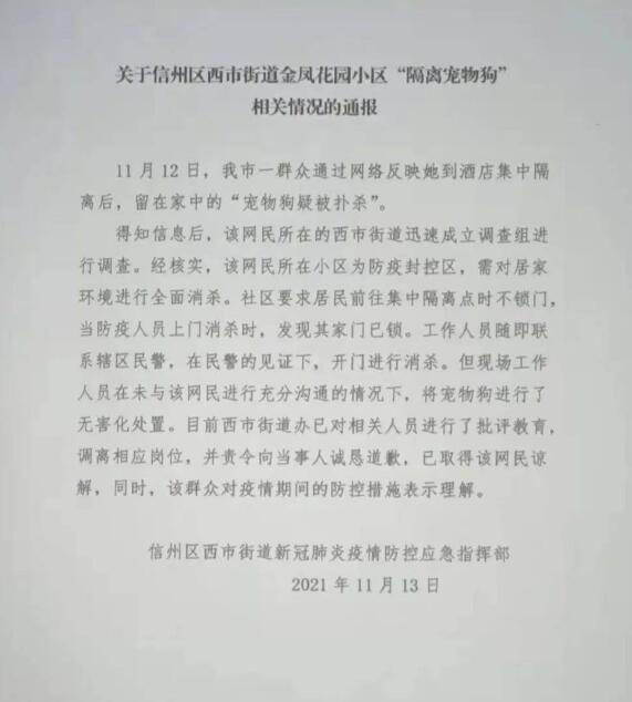 隔离期间家中小狗被扑杀？调离岗位，责令道歉！