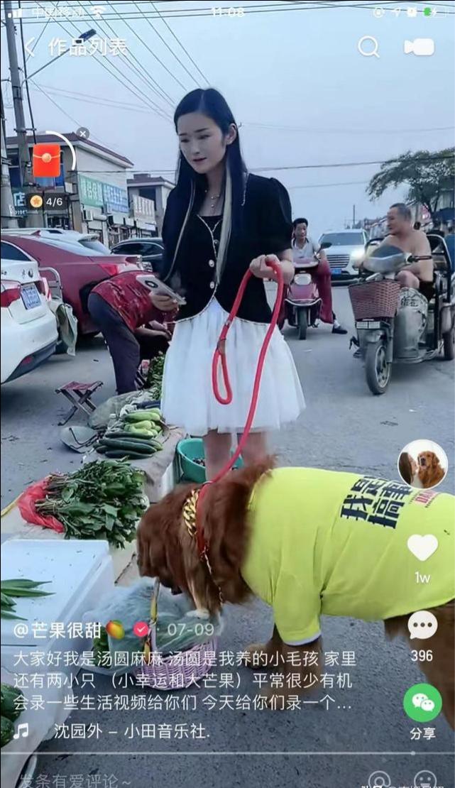 宠物狗变网红狗 铲屎官靠给金毛拍段子在快手上吸粉300多万 宠物狗变网红狗 铲屎官靠给金毛拍段子在快手上吸粉300多万