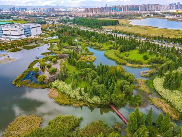 爱狗人士节目上无差别指责，评论员直接无语，谁敢反驳就是谁的错