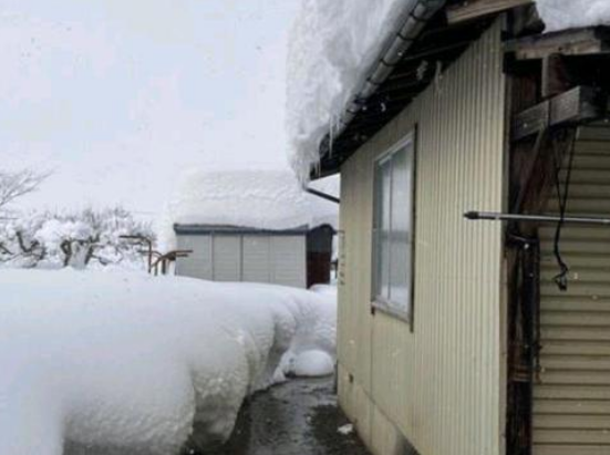 小猫被困积雪喊“救命”，暖男花3小时救猫，猫：都怪你动作太慢