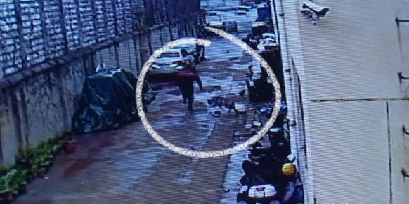 男子被金毛犬追赶摔倒骨折 狗主人是否该承担责任? 男子被金毛犬追赶摔倒骨折 狗主人是否该承担责任?