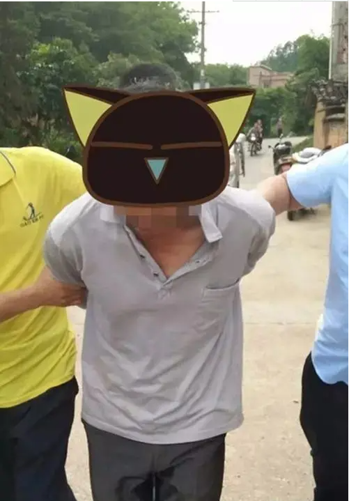 过去农村人养狗防小偷 | 农村防盗抓贼仅仅靠狗,都成宠物了