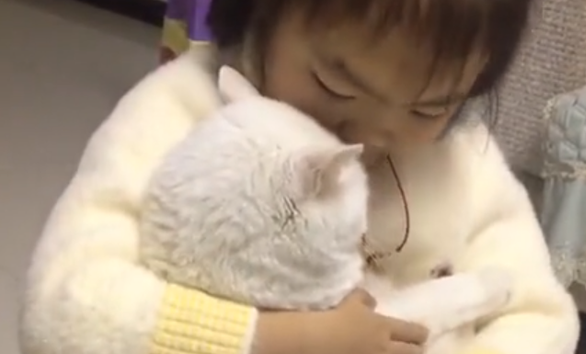 湖北一小女孩抱着猫咪写作业，猫咪眼神满满爱意，画面温馨有爱！